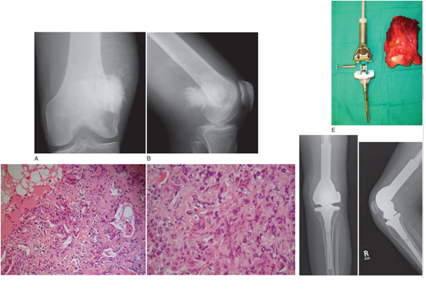 Doktor Mehmet Subaşı