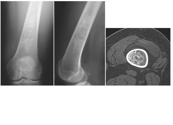 Doktor Mehmet Subaşı