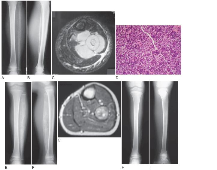 Doktor Mehmet Subaşı