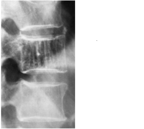 Doktor Mehmet Subaşı