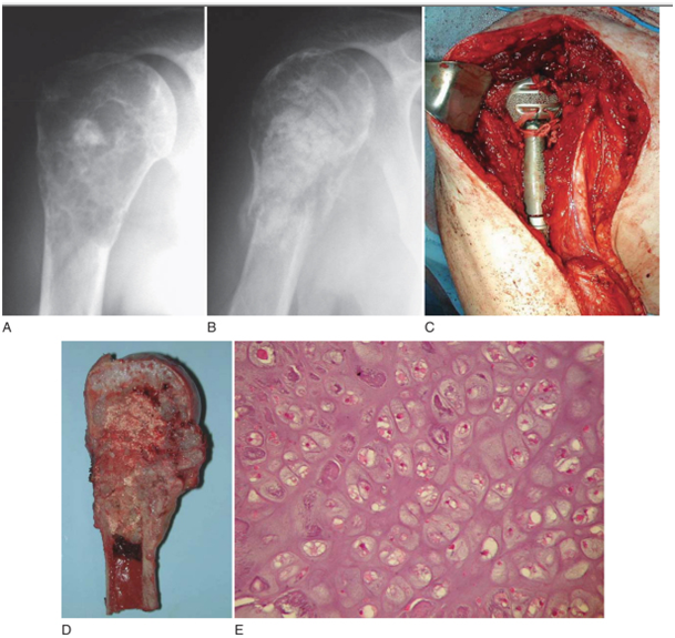 Doktor Mehmet Subaşı