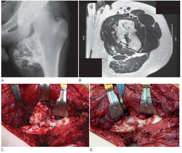 Doktor Mehmet Subaşı